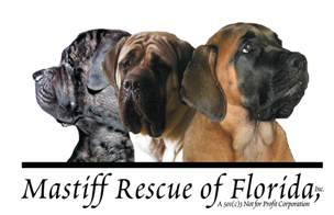 Mastiff Rescue of Florida