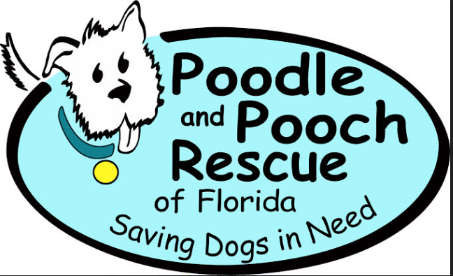 Poodle and Pooch Rescue of Florida