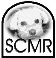 Southern Comfort Maltese Rescue