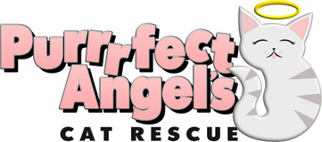 Purrrfect Angels Cat Rescue