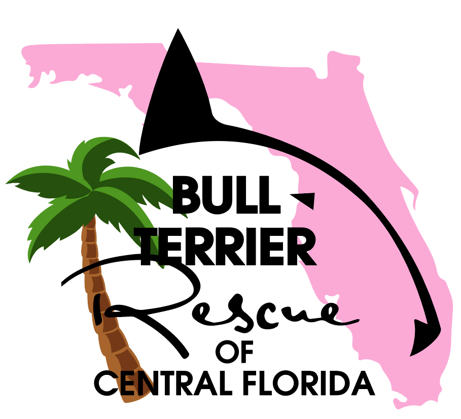 Bull Terrier Rescue of Central Florida
