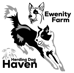 Ewenity Farm Herding Dog Haven, Inc.
