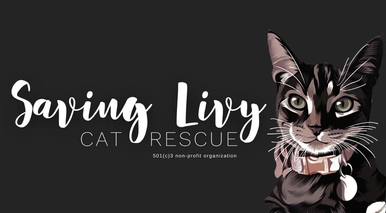 Saving Livy Cat Rescue