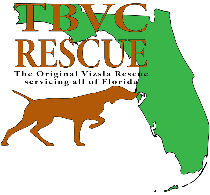 Tampa Bay Vizsla Club Rescue, Inc.