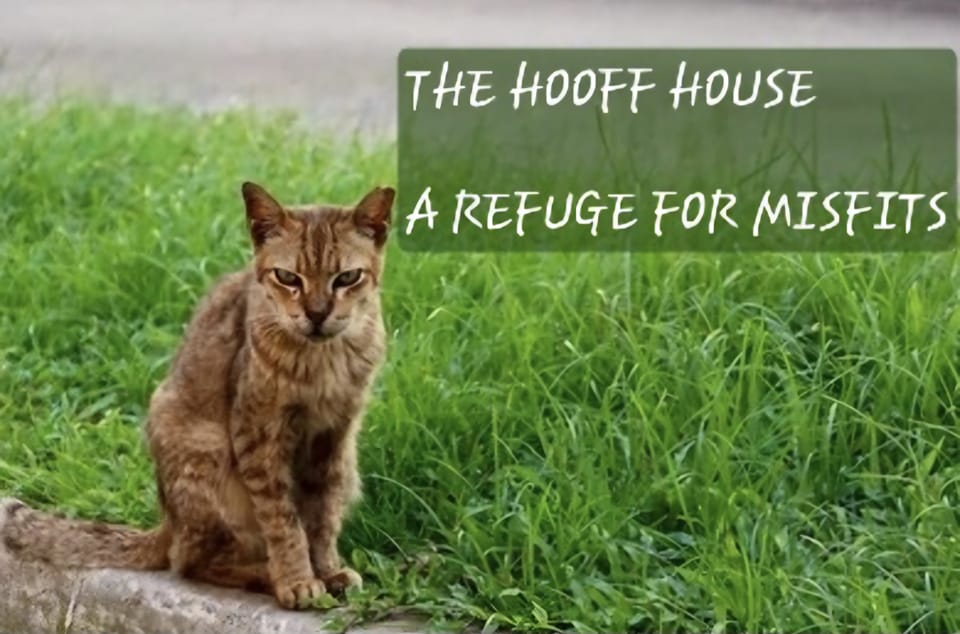 The Hooff House Rescue and Sanctuary