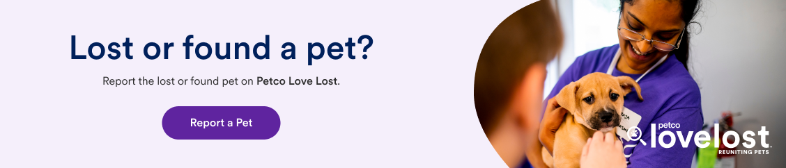 Lost or found a pet? Report the lost or found pet on Petco Love Lost. - Report a Pet