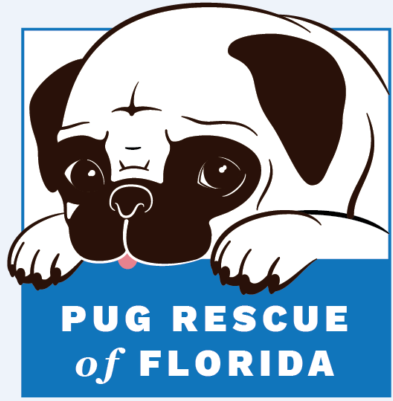 Pug Rescue of Florida