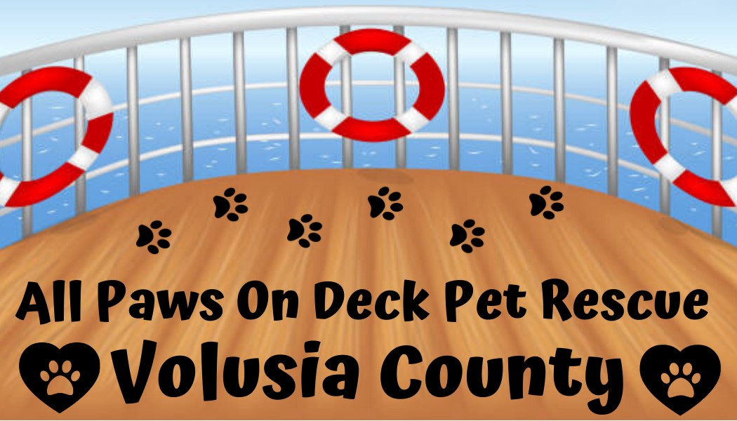 All Paws On Deck Pet Rescue