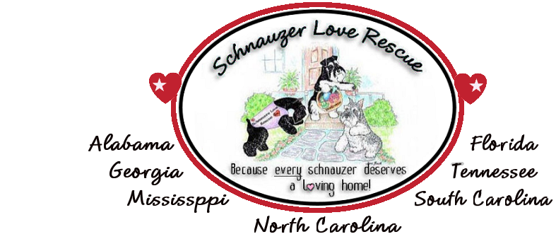 Schnauzer Love Rescue