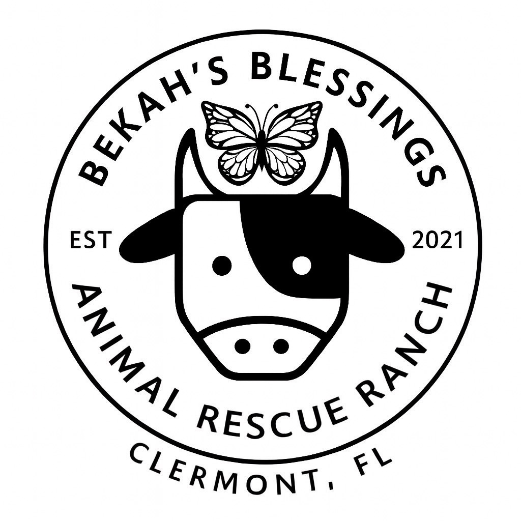 Bekah's Blessings